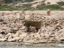 mekong (18)